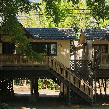 Johnson'S Beach Cabins And Campground Guerneville Kültér fotó